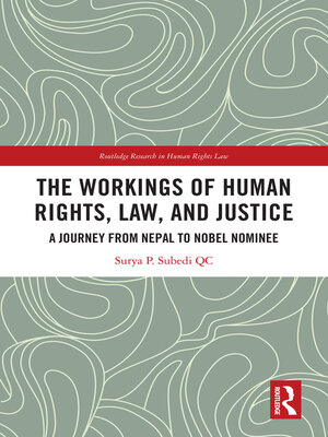 cover image of The Workings of Human Rights, Law and Justice